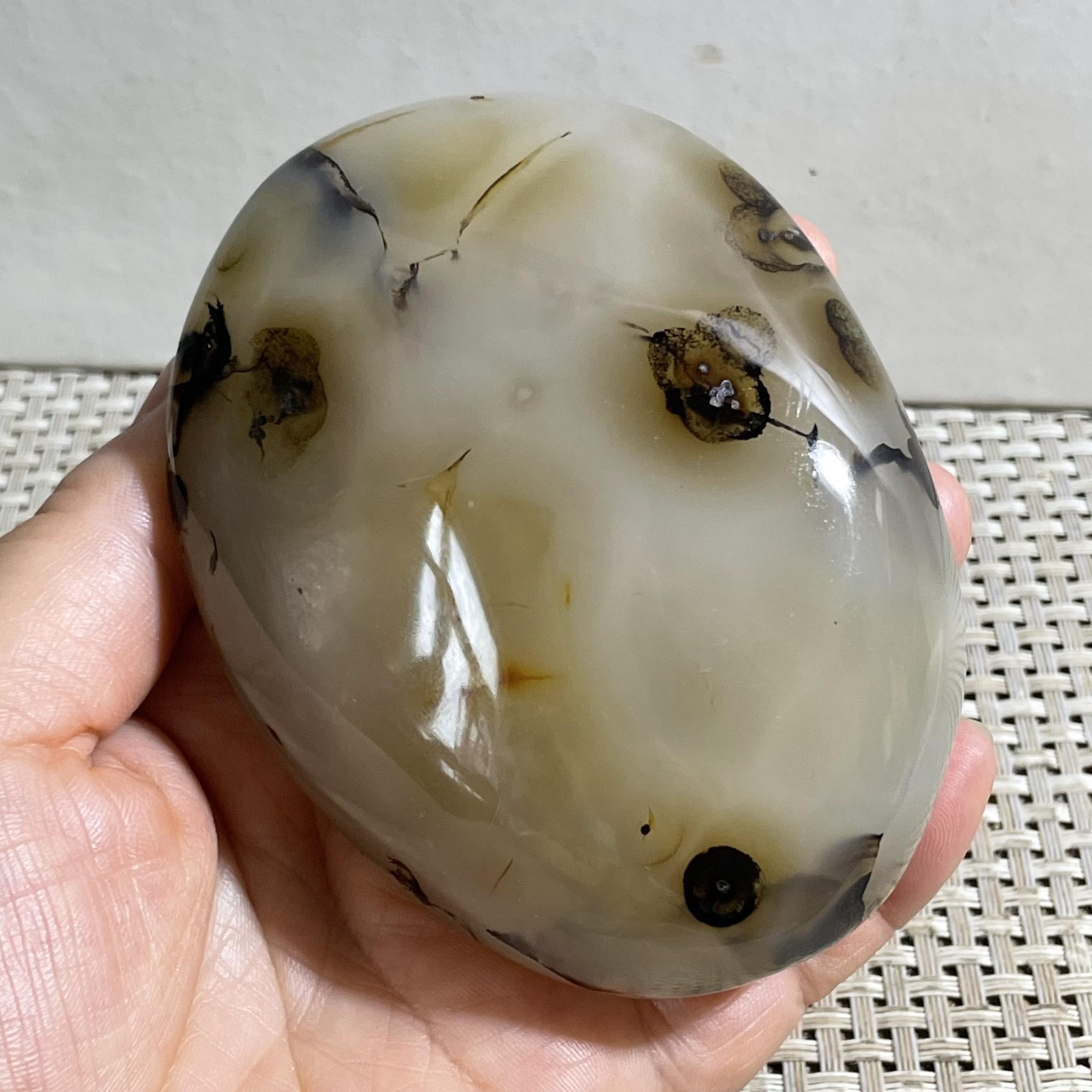 356g Natural Polished Aquatic Plants Agate Crystal Madagascar