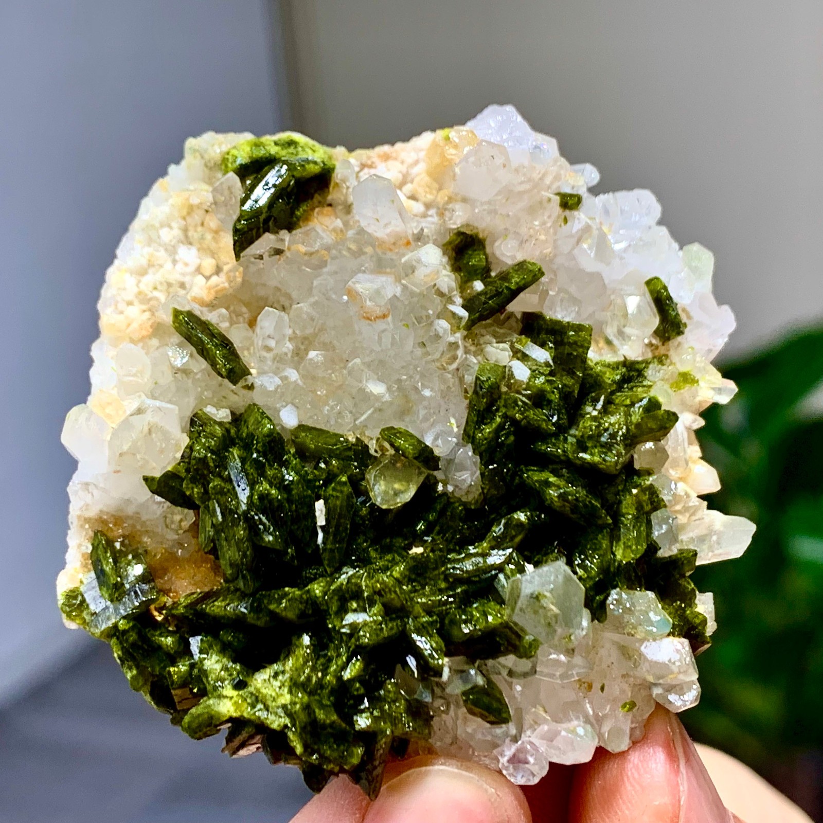 46g Natural Garden quartz cluster specimen tourmaline mineral healing SiChuan