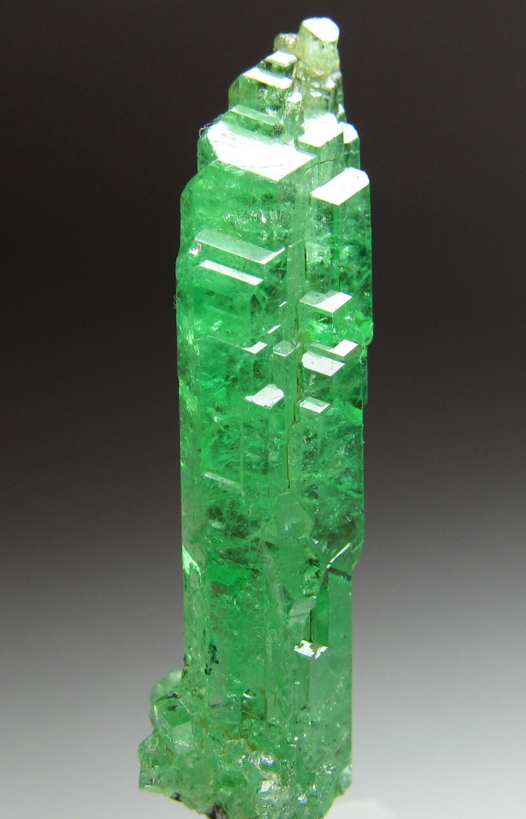 UNSURPASSED ELITE LIGHTNING BOLT TSAVORITE GROSSULAR GARNET CRYSTAL!!! TANZANIA