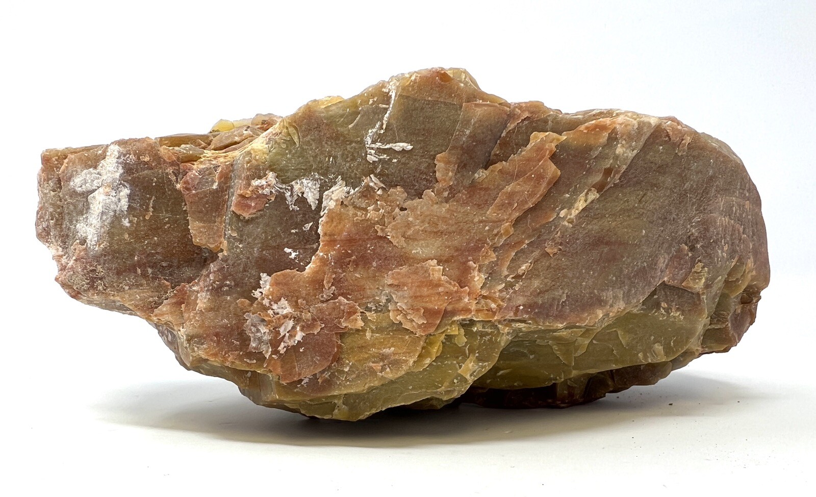 Loose Natural Stone – United States: Raw Petrified Wood RARE Agatized 4lb 4oz