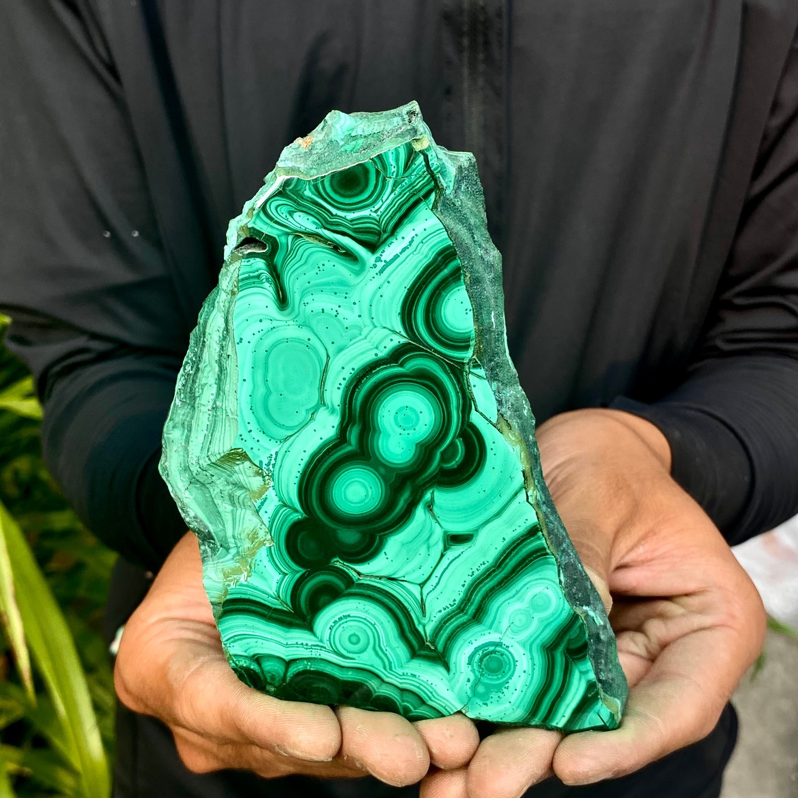1.1LB Natural malachite slice quartz crystal luster mineral specimen