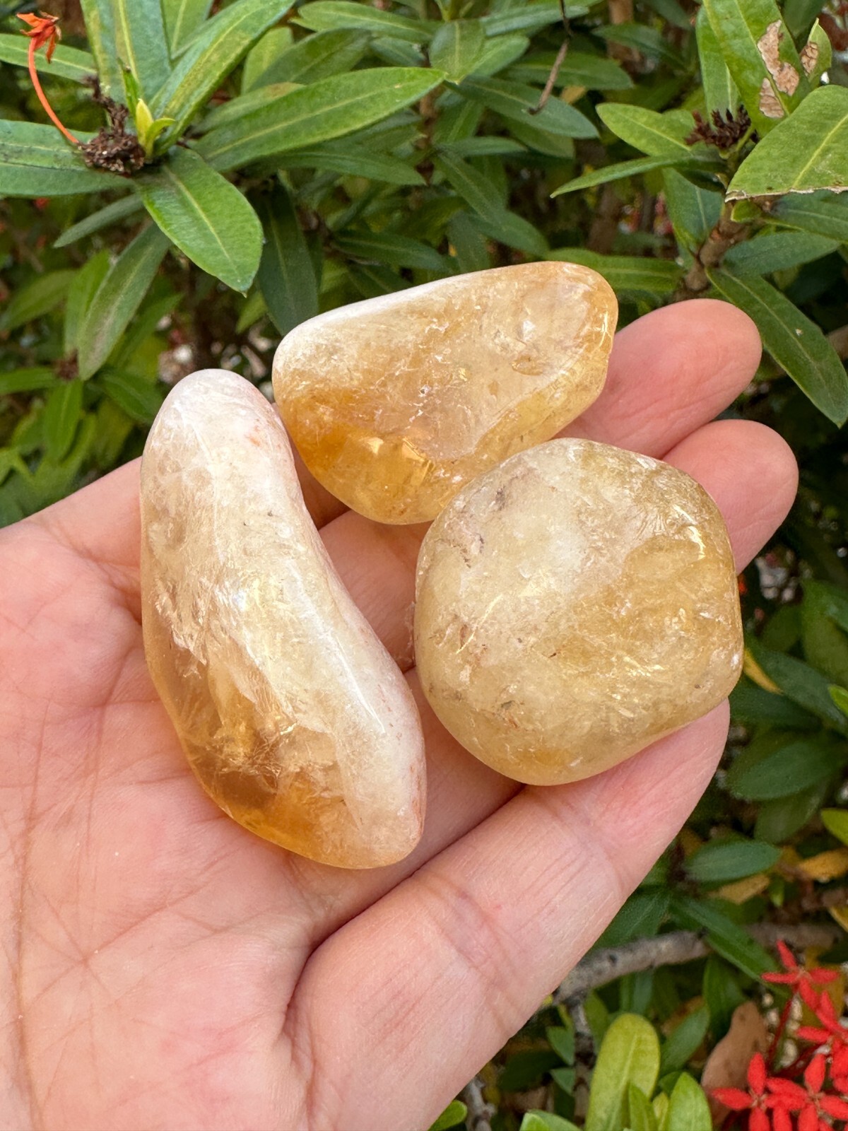 Grade A++ Citrine Pebble, 1.25-2 Inch Large Tumbled Citrine Stones,Wholesale Lot