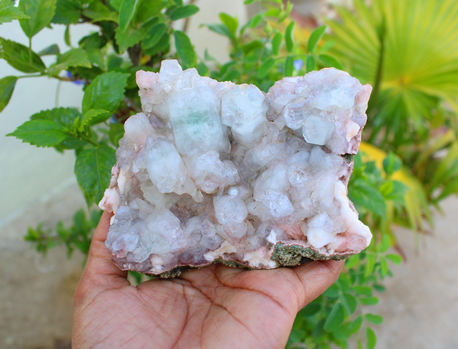 GREEN APOPHYLLITE CRYSTALS ON MATRIX MINERALS SPECIMEN #A43