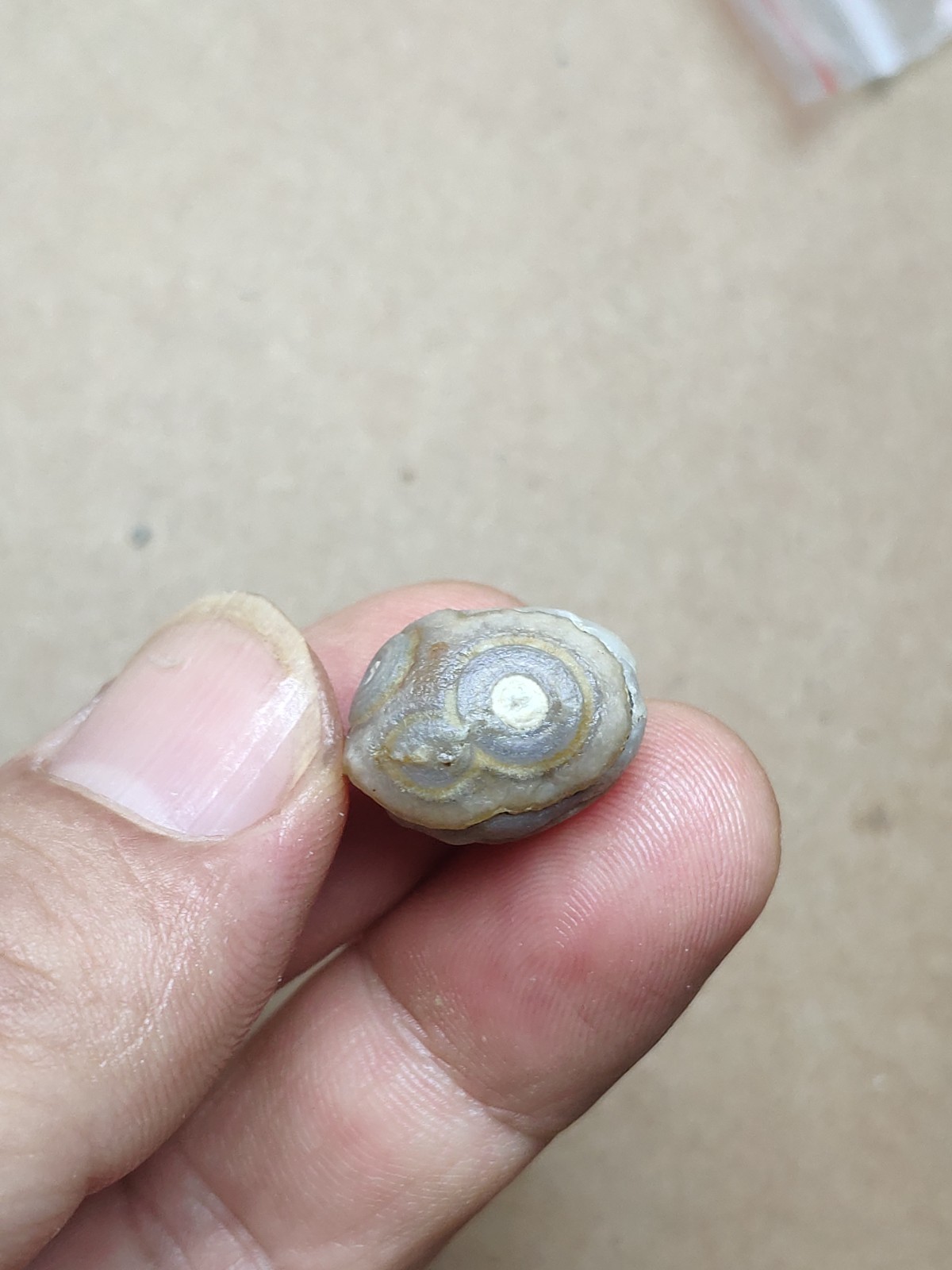 17mm Beautiful Natural agate Gobi agate eye agate cute collection