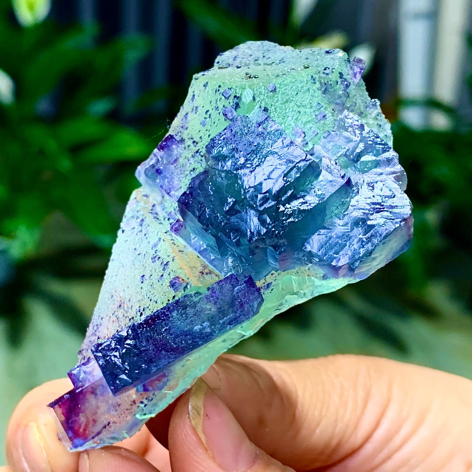 86G Rare transparent green purple cubic Zhejiang fluorite mineral sample