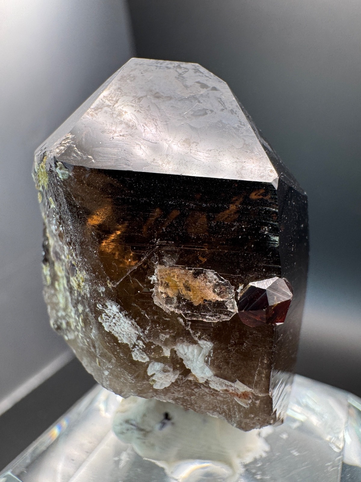 6178 Smoky Quartz Point with Red Garnets and Garnet Inclusions 34g Fu Jian