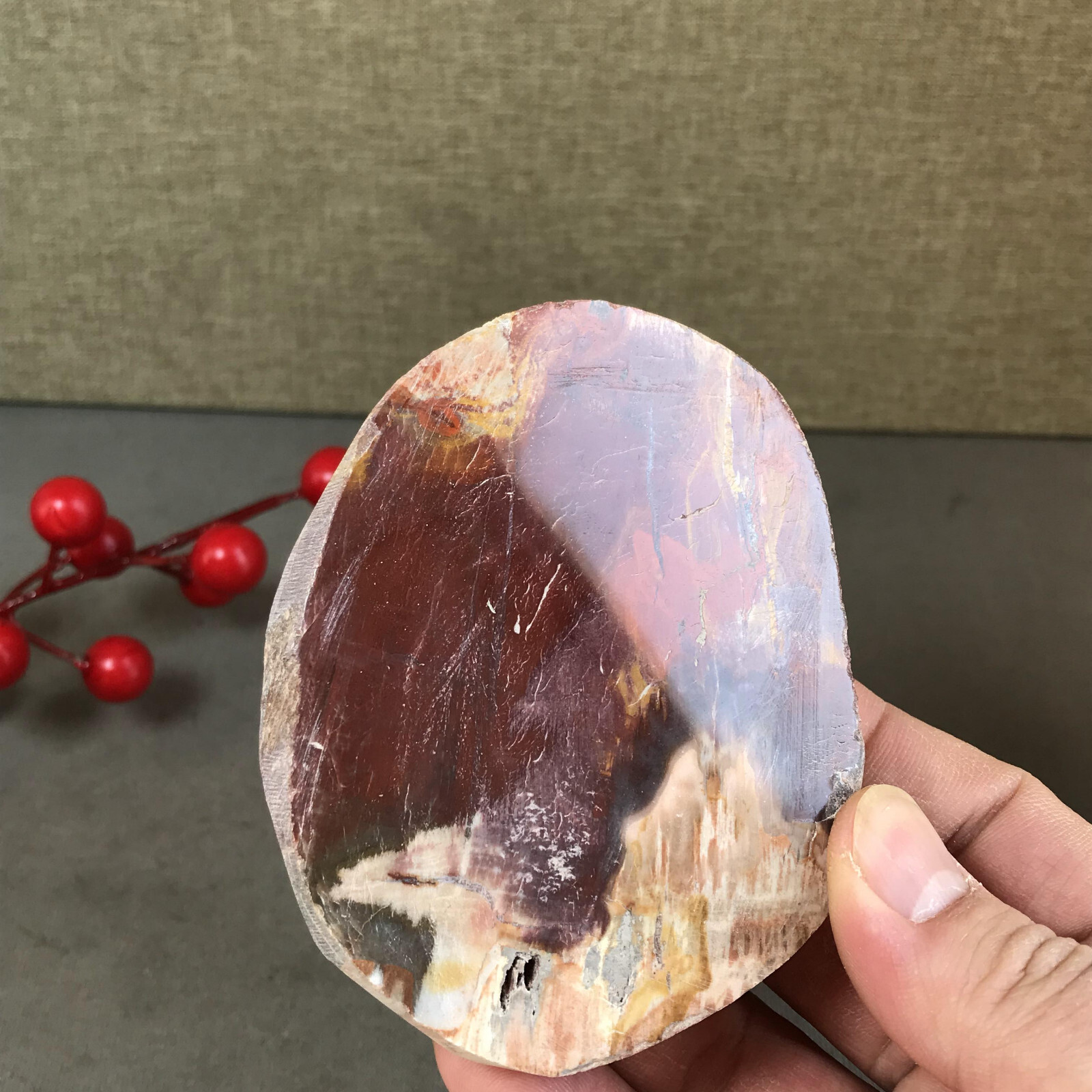 92mm natural Beautiful Petrified Wood Crystal Slice mineral specimen 266g A5424