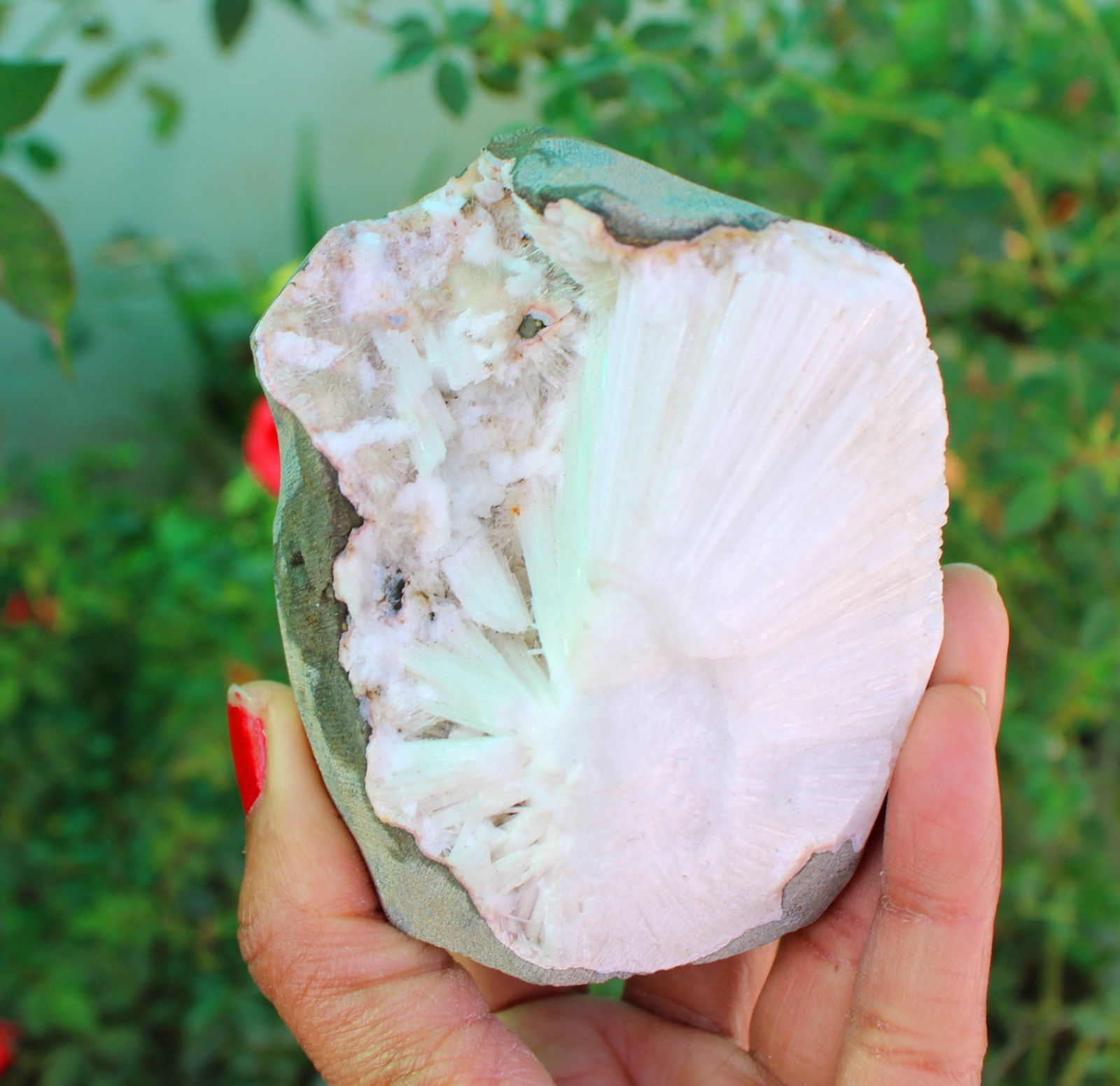 Scolecite In Geode Minerals Specimen#A9