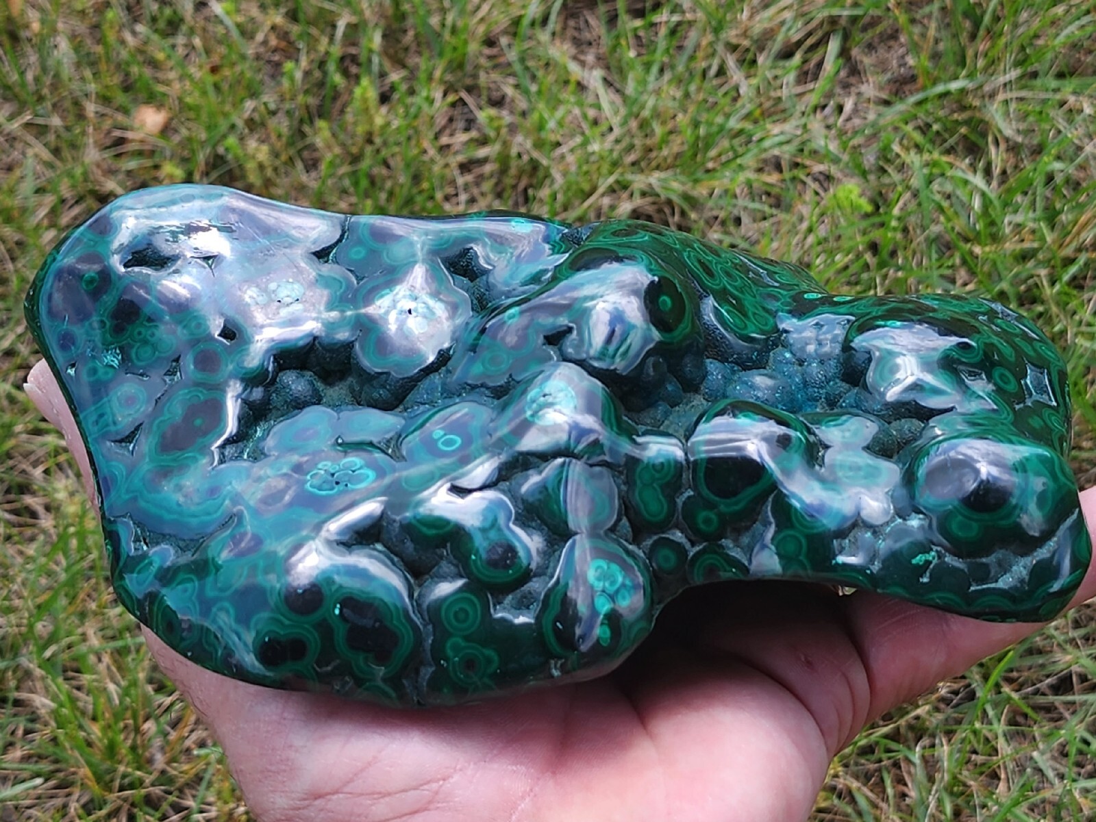 GORGEOUS,LG POLISHED MALACHITE,CONGO