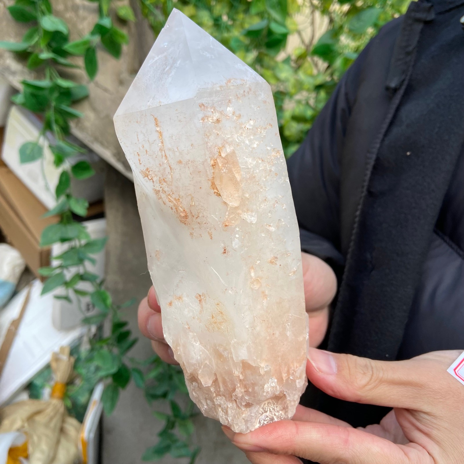 2.9lb Natural clear white crystal quartz point rough mineral specimen