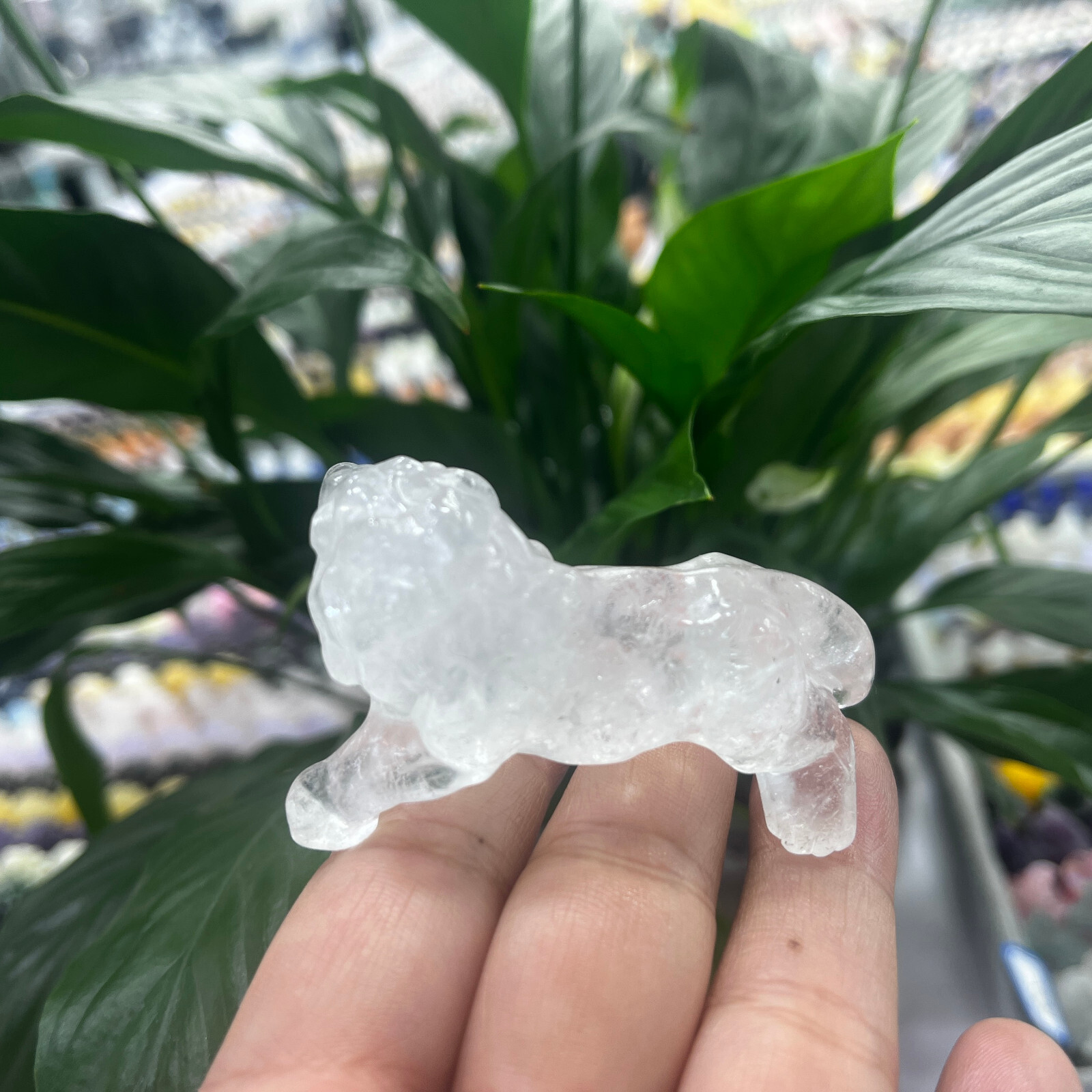 2″Natural clear Quartz Hand Carved Lion Skull Crystal Healing GEM gift decor 1pc