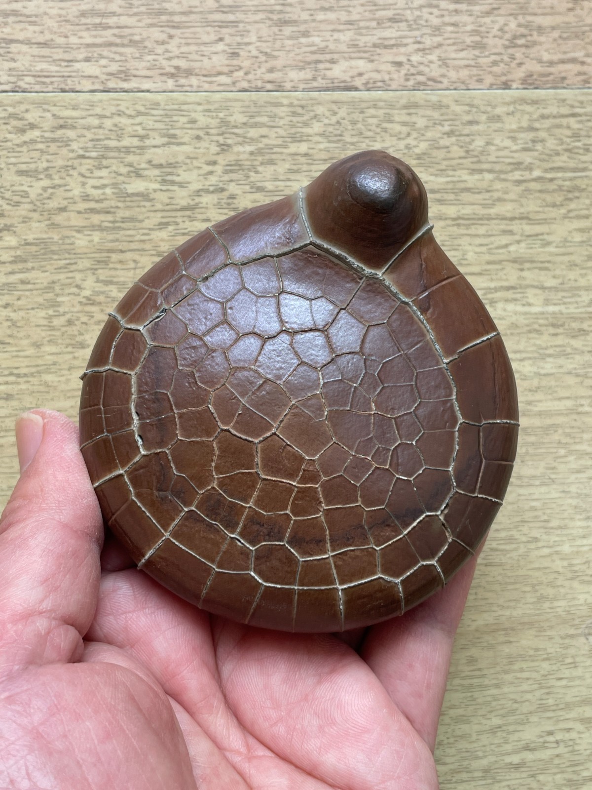 412g beautiful Natural tortoise back pattern stone Moire stone Landscape stone