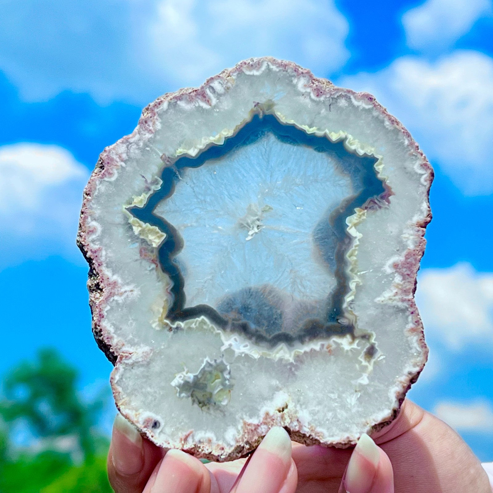 159G Natural Colorful Lace Agate Geode Slice Extra Large Gem From Argentina