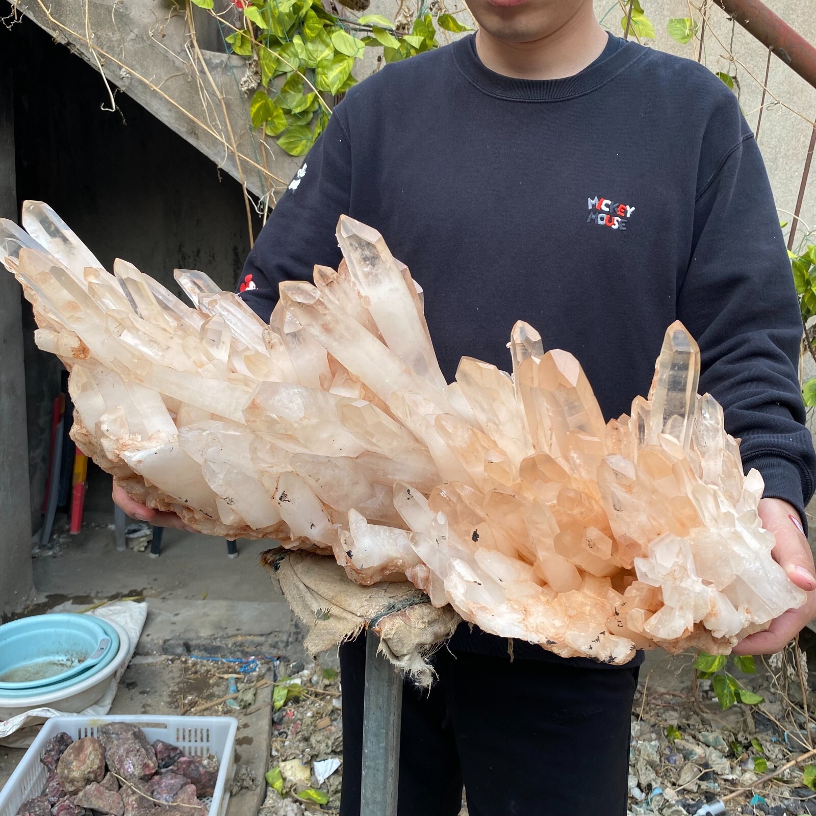 81.6lb Natural Clear White quart Crystal Cluster Raw Healing Specimen