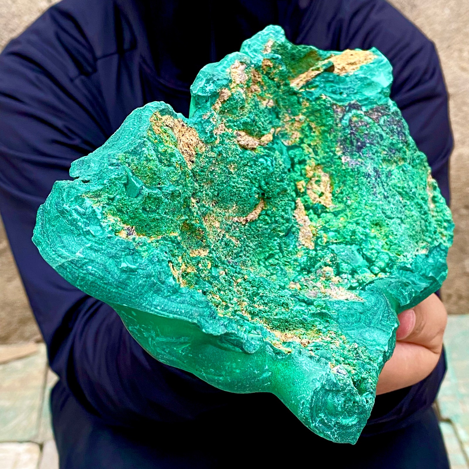 3.2LB Natural tortoise Malachite transparent cluster coarse mineral sample