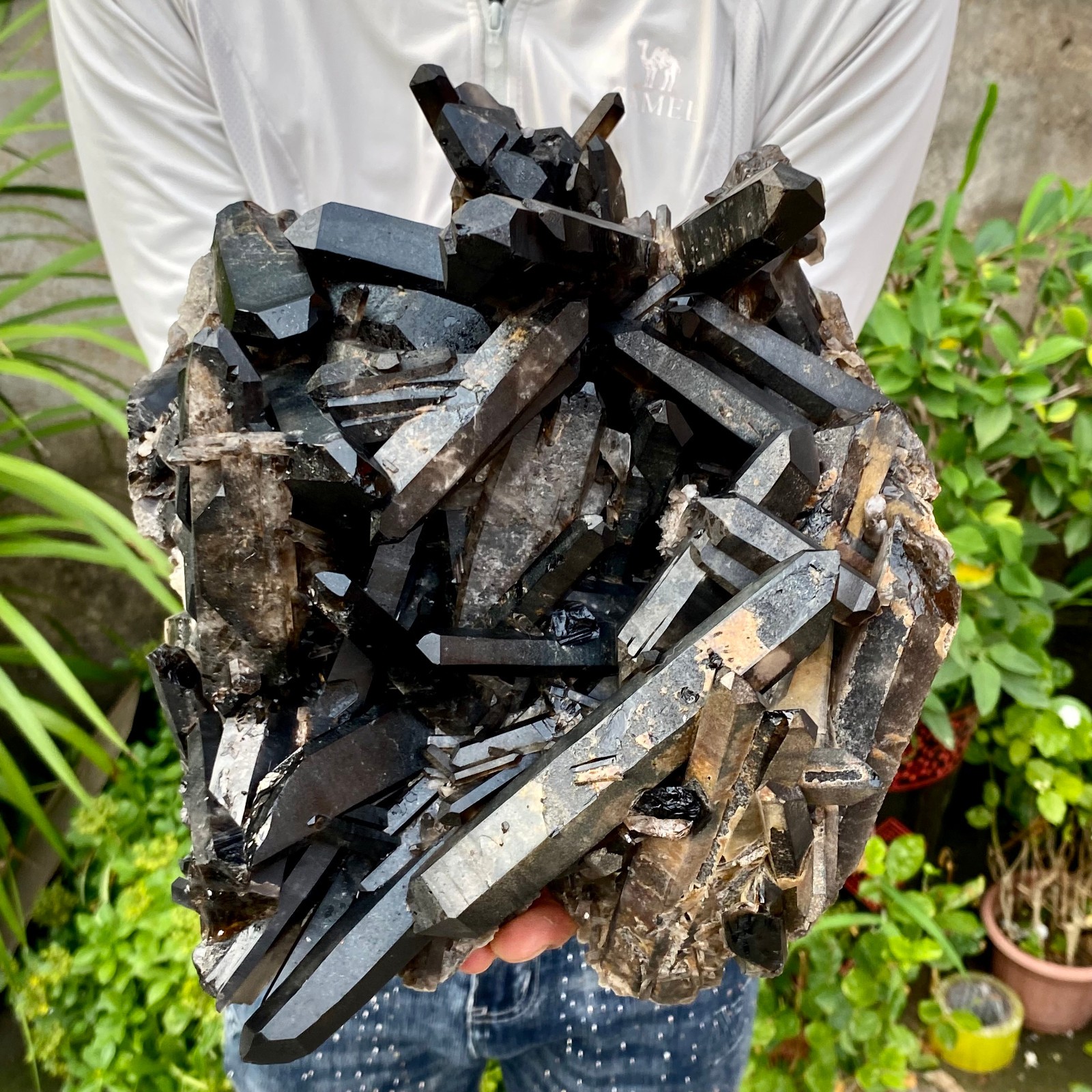 12.78LB Large Natural Smoky Black Quartz Cluster Crystal raw Specimen Healing