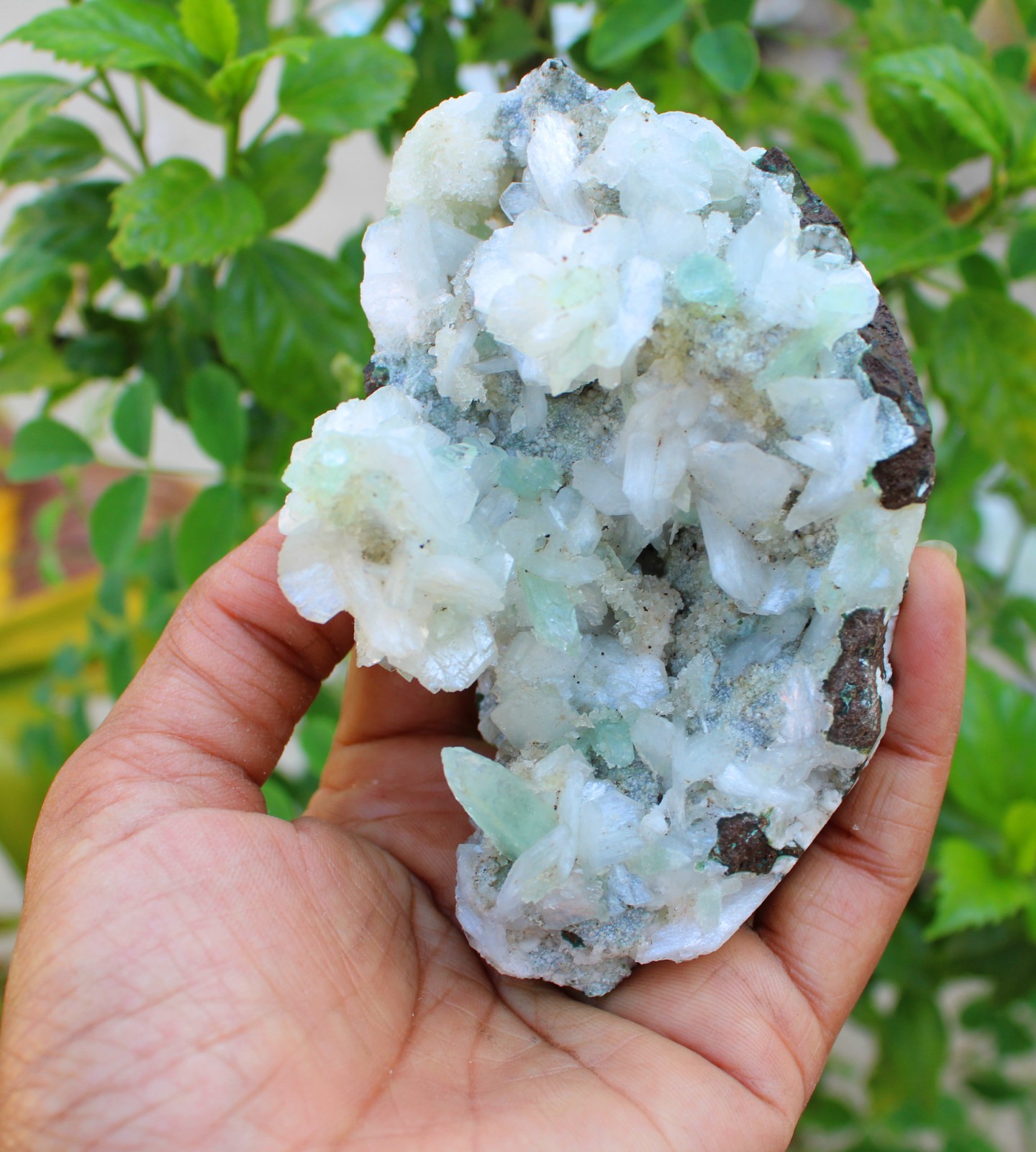 green apophyllite crystals w/ stilbite on matrix minerals specimen #A43