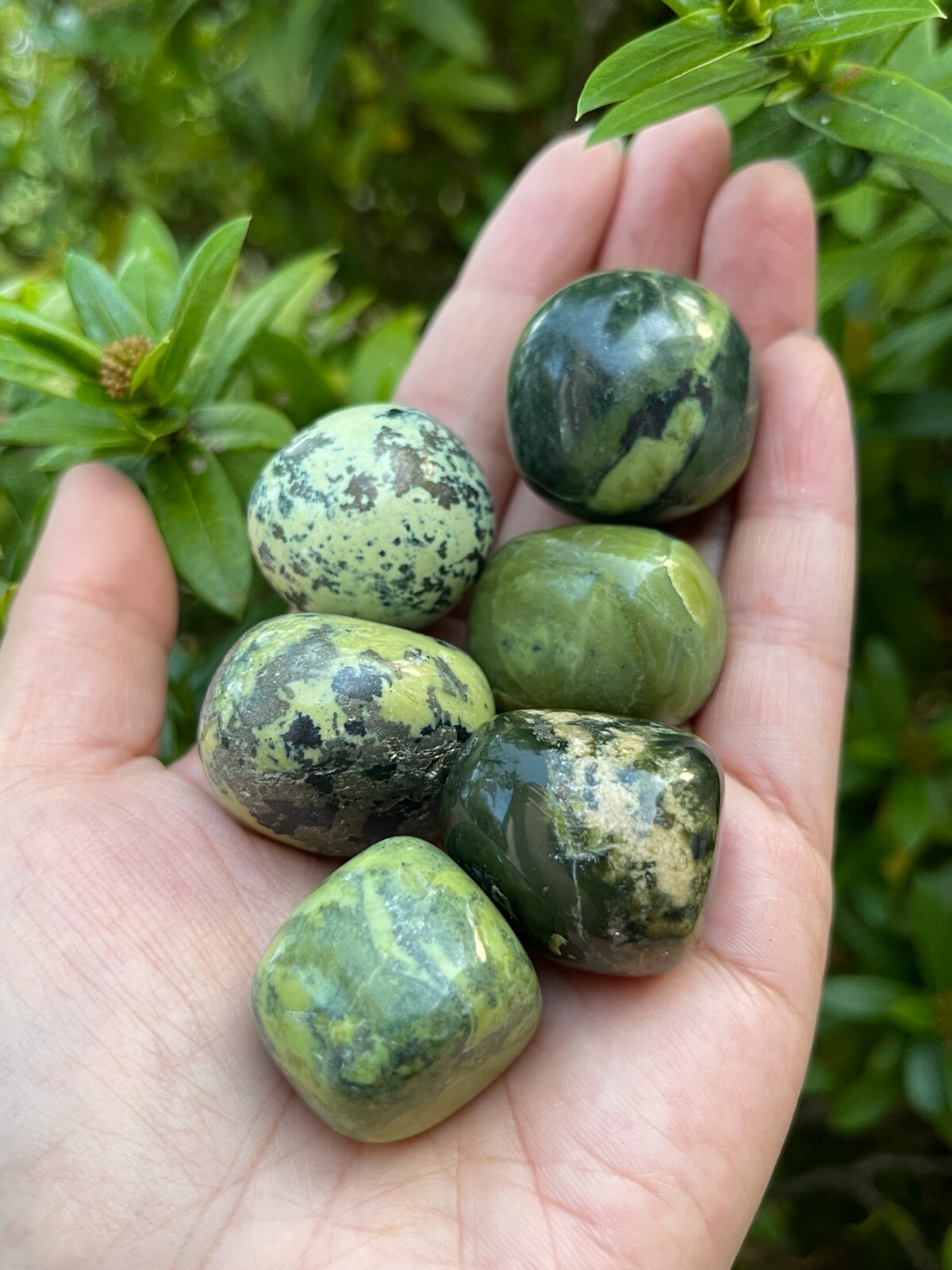 Grade A++ Serpentine Tumbled Stones, 1-1.25 Inch Tumbled Serpentine Stones