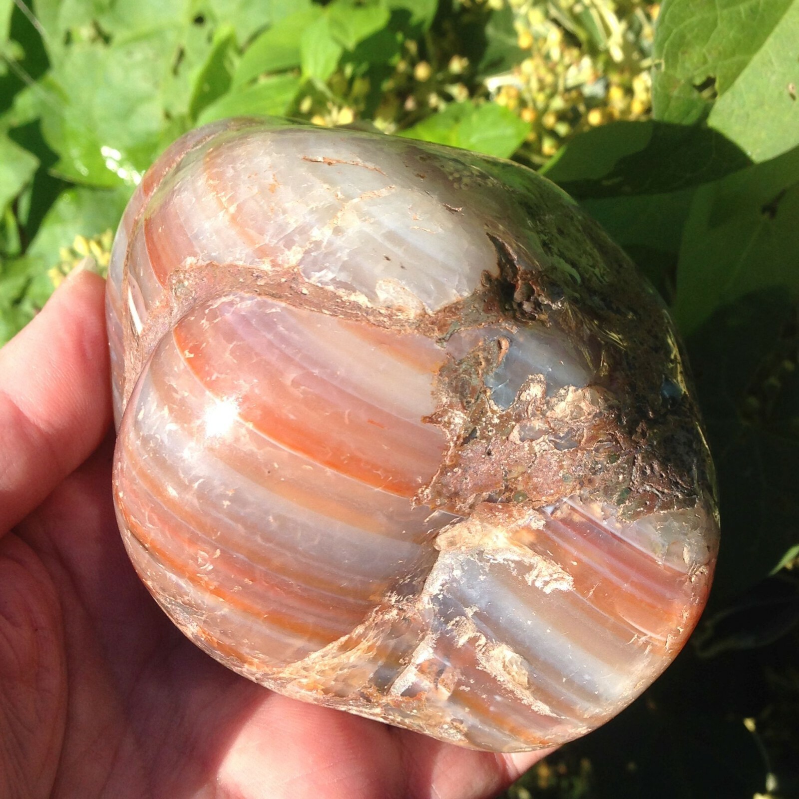 Large Rare Sardonyx Crystal Banded Agate Helps Stable Marriage 594g 9.5×7.3x6cm