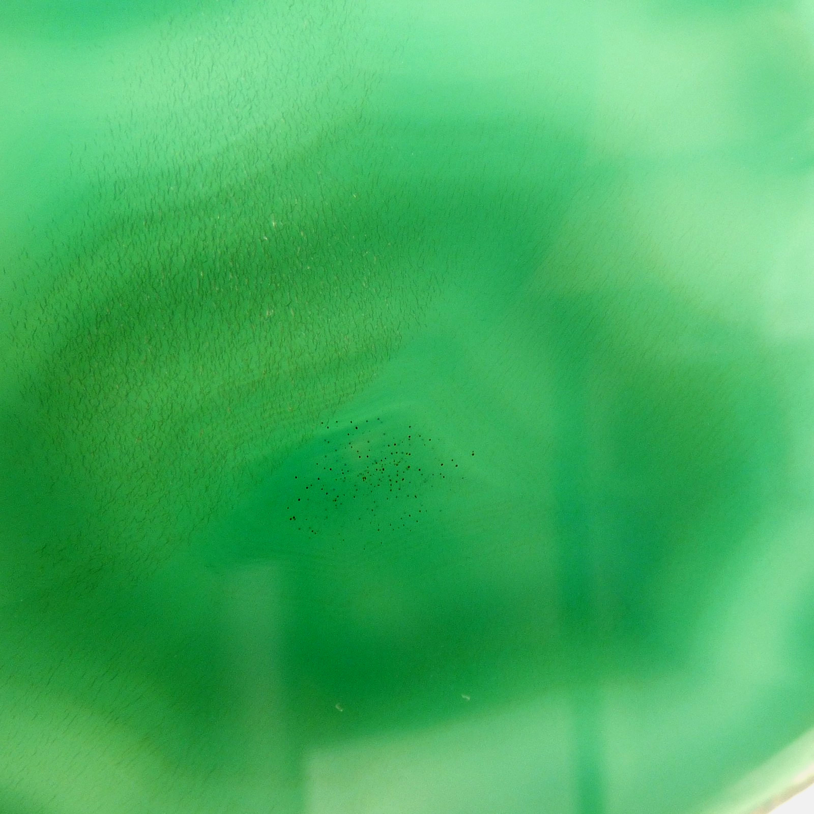 Banded Green Agate Geode Slice 7cm x 6.5cm Polished Brazil