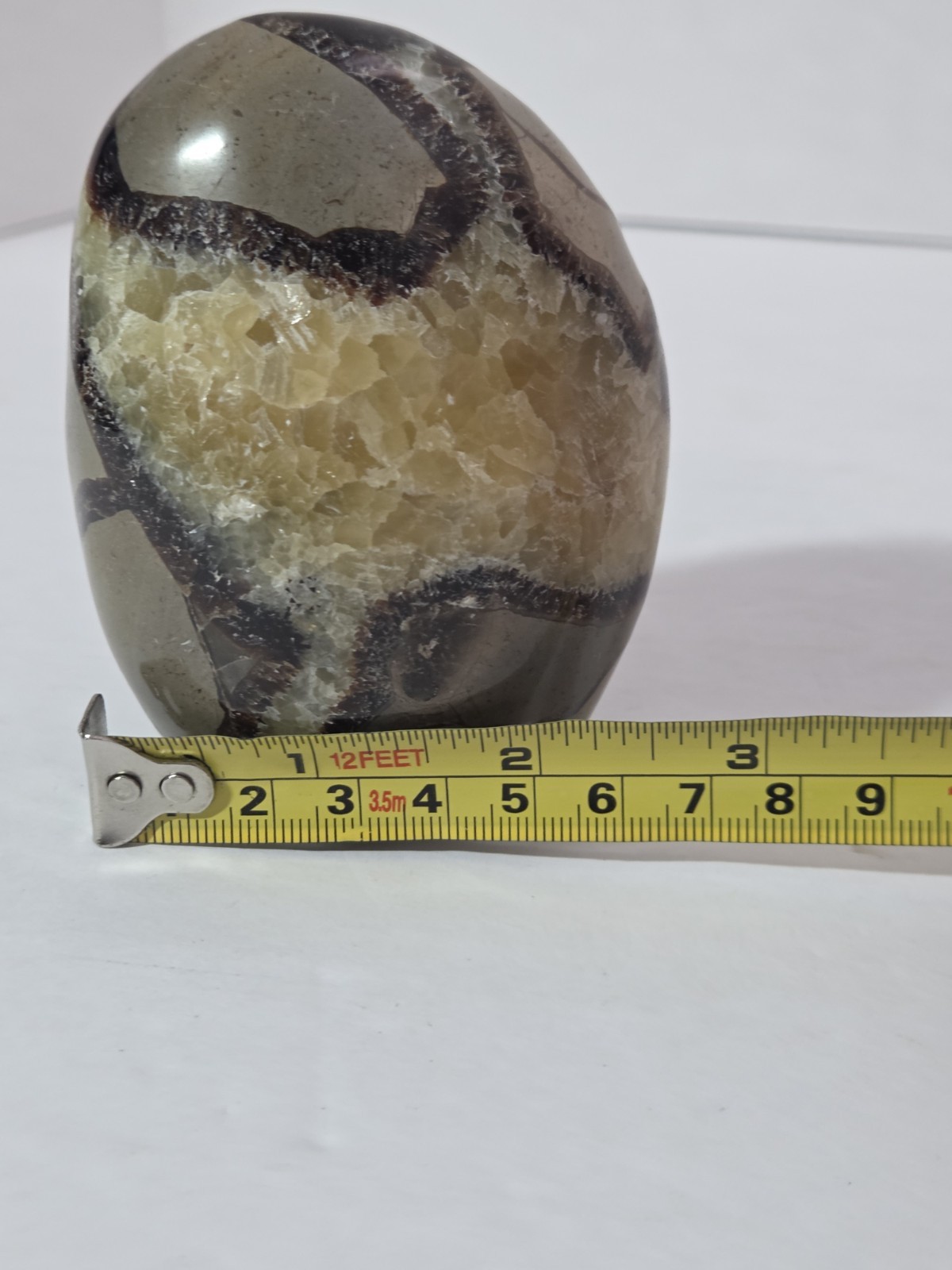 Septarian Polished Egg Prime Specimen Crystal Stone Mineral 8.61 Grams