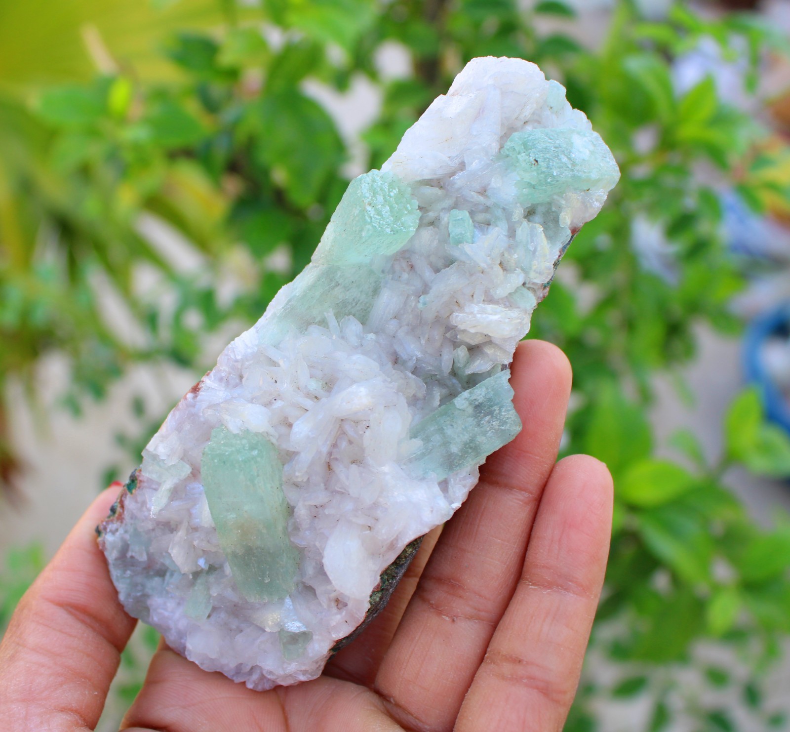 Green Apophyllite Crystals w/ Stilbite On Matrix Minerals Specimen #A46