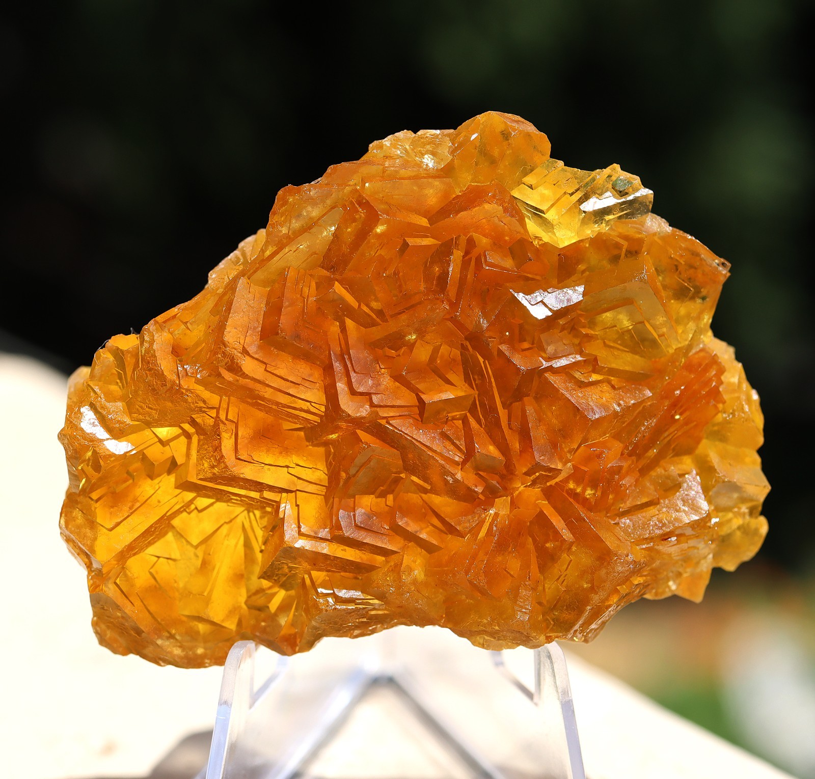 Gem Fluorite. Steinkopf, Namakwa Dist, Municipality, Northern Cape, South Africa