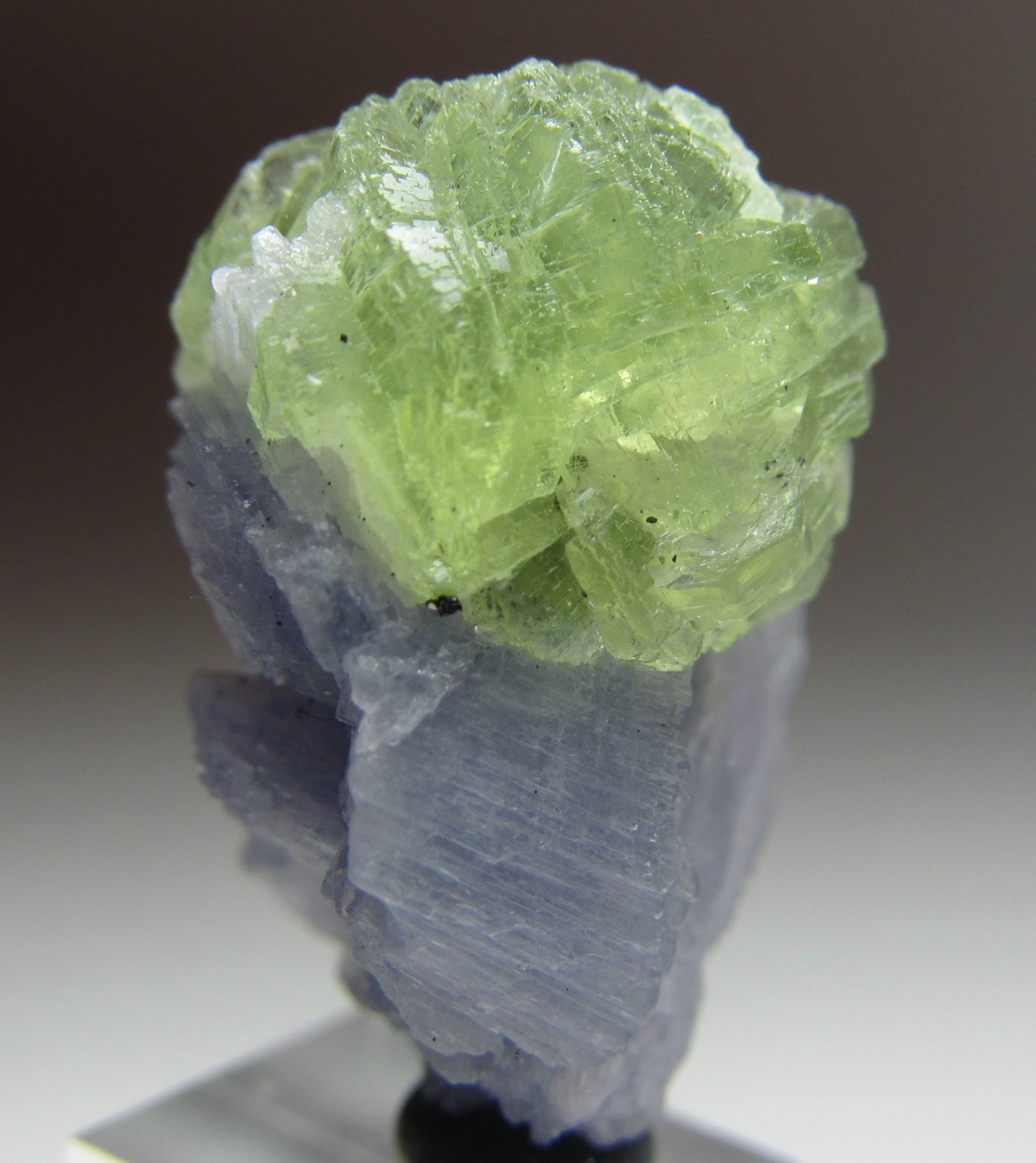 MAGICAL RARITY TANZANITE ON PREHNITE CRYSTAL!!! TANZANIA NEW FIND