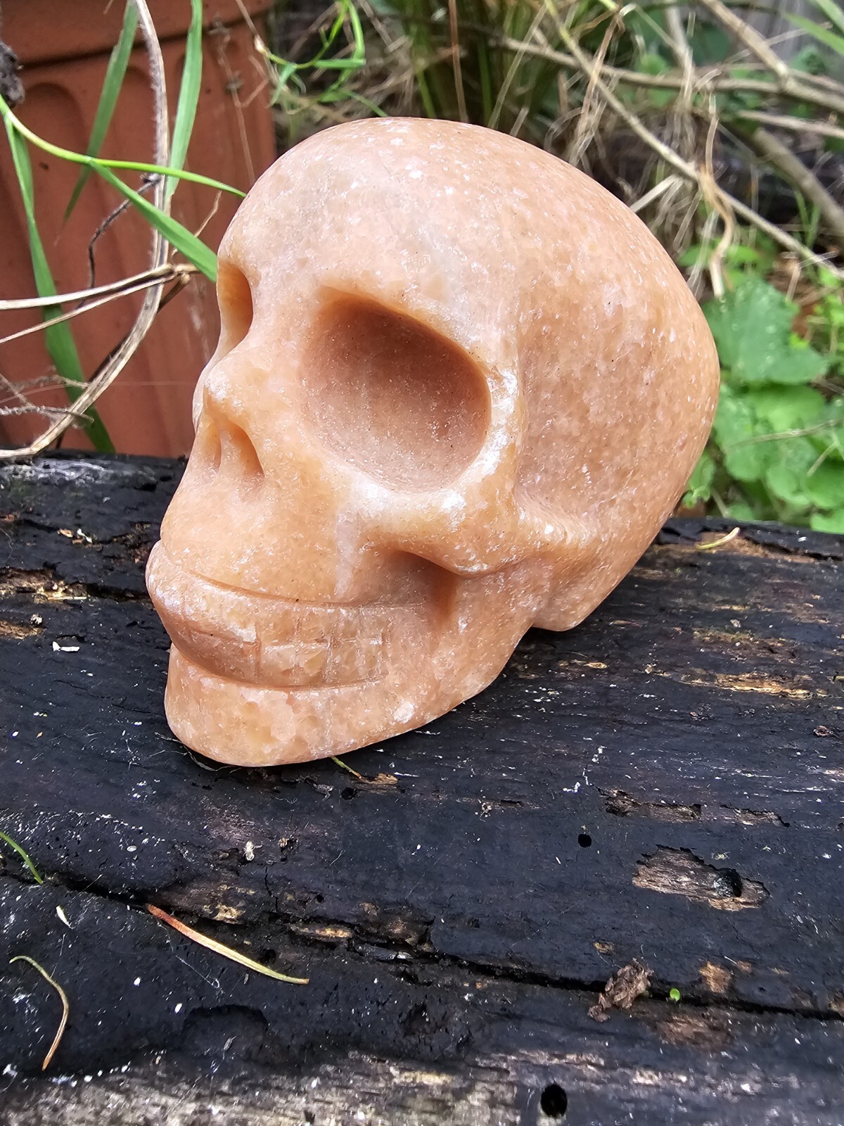 Sunstone crystal Skull Carving 379g 5.8x7x4.8cm Motivation Uplifting