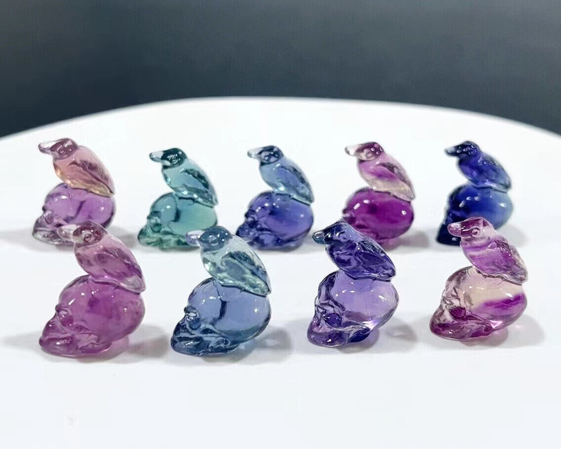 5pc Natural fluorite carved mini bird skull quartz crystal reiki healing decor