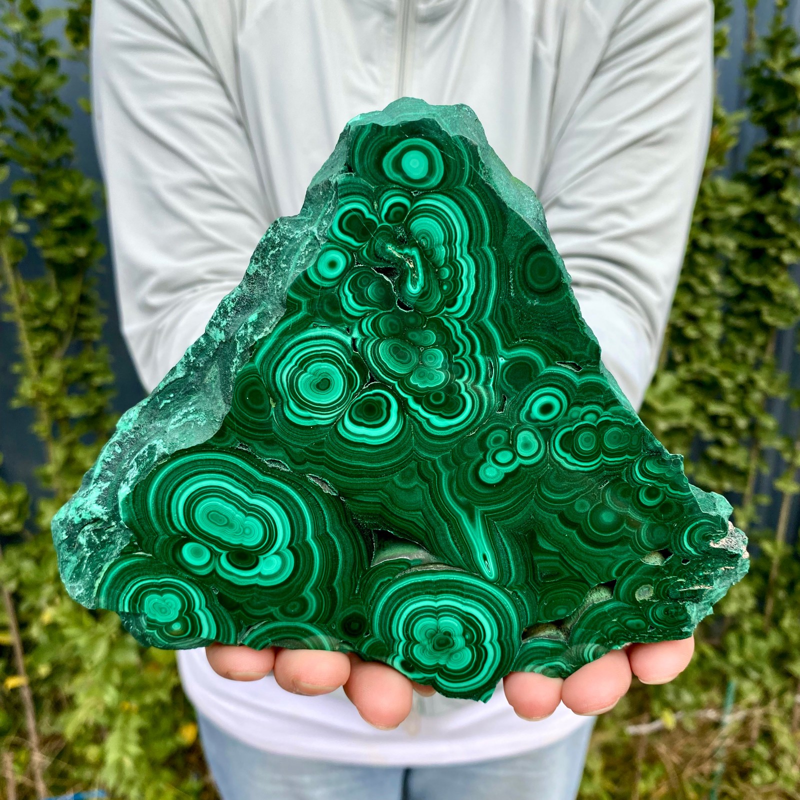 1.41LB Natural malachite slice quartz crystal luster mineral specimen