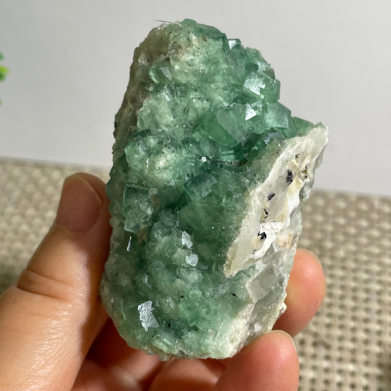 127g NATURAL Green Cube FLUORITE Quartz Crystal Cluster Mineral Specimen