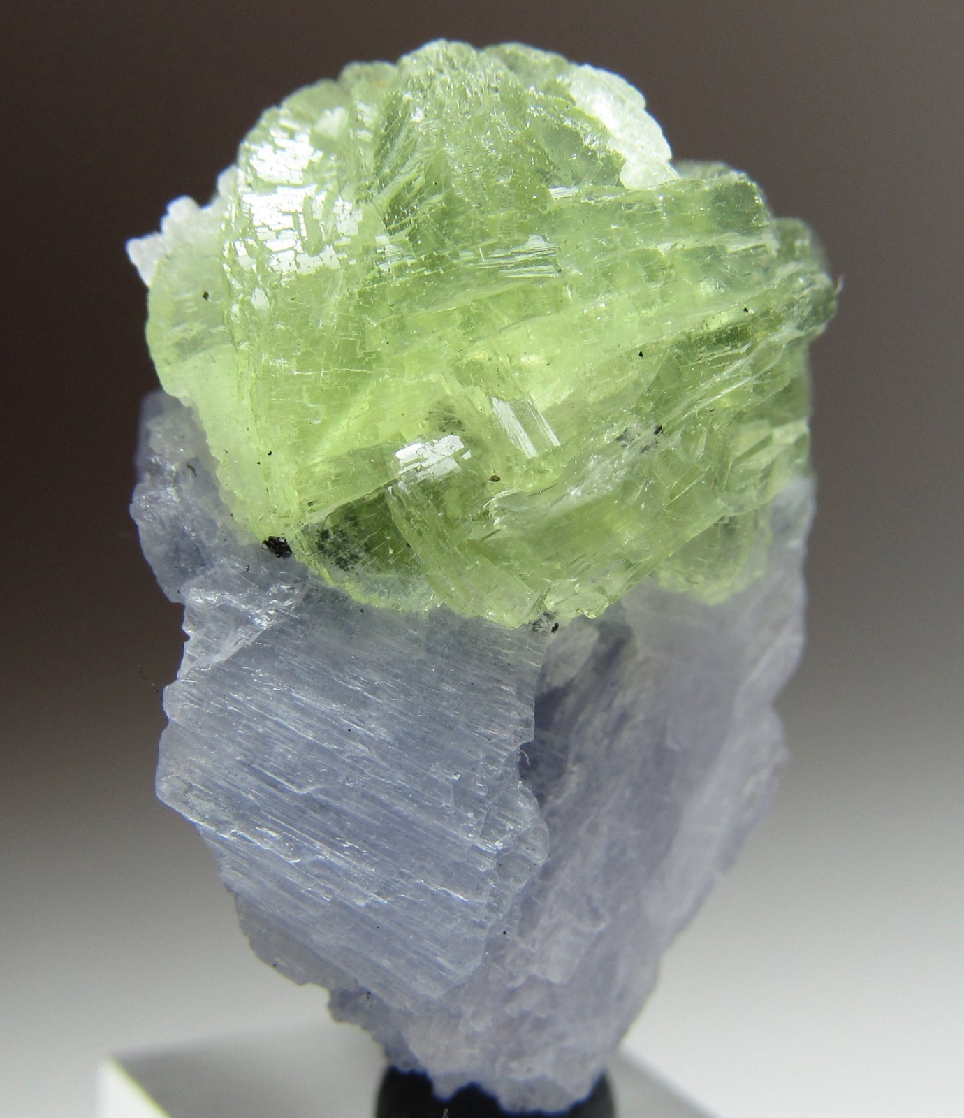 MAGICAL RARITY TANZANITE ON PREHNITE CRYSTAL!!! TANZANIA NEW FIND