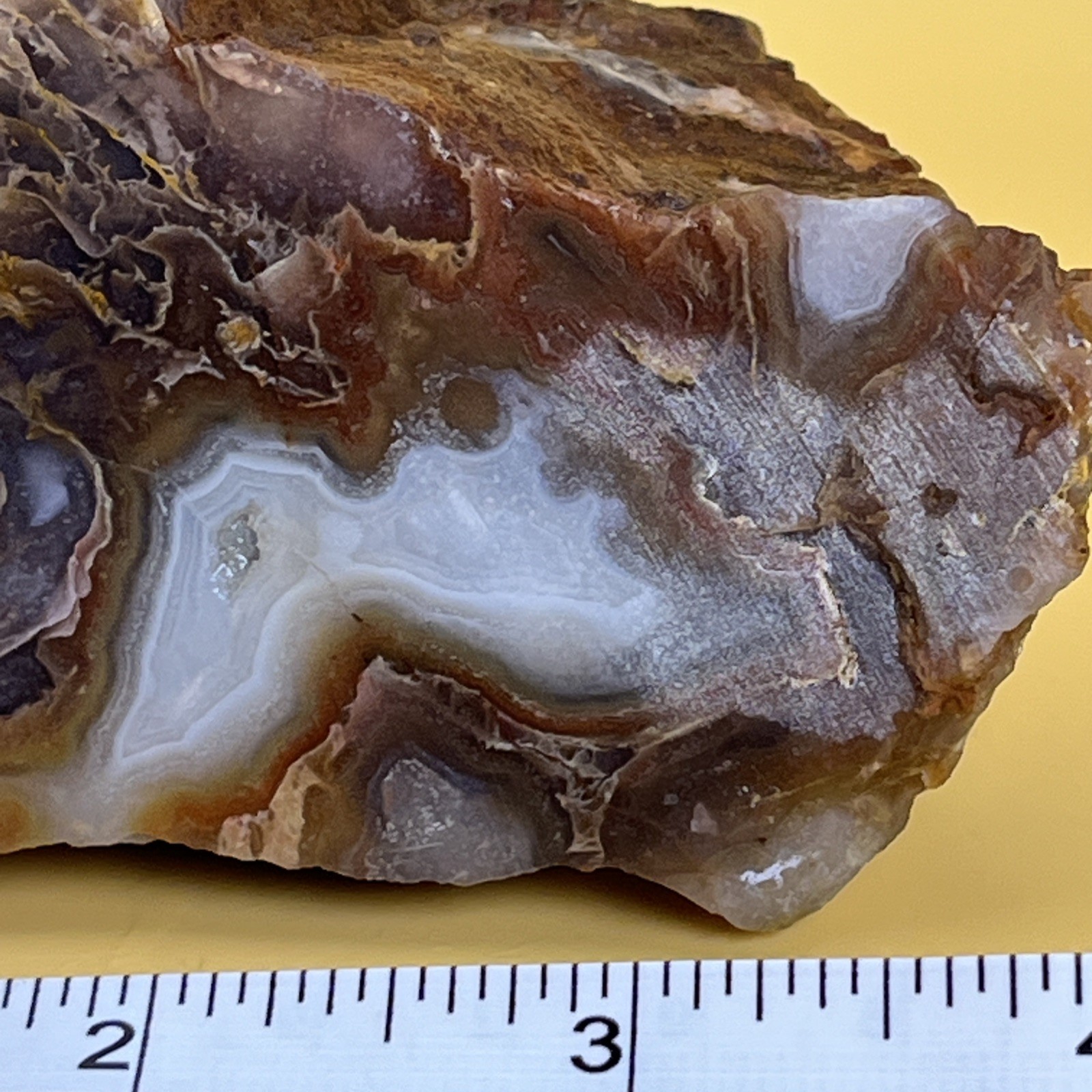 Wild/Raw Crazy Lace Agate 290g Cabbing Slabbing Cut on One Side