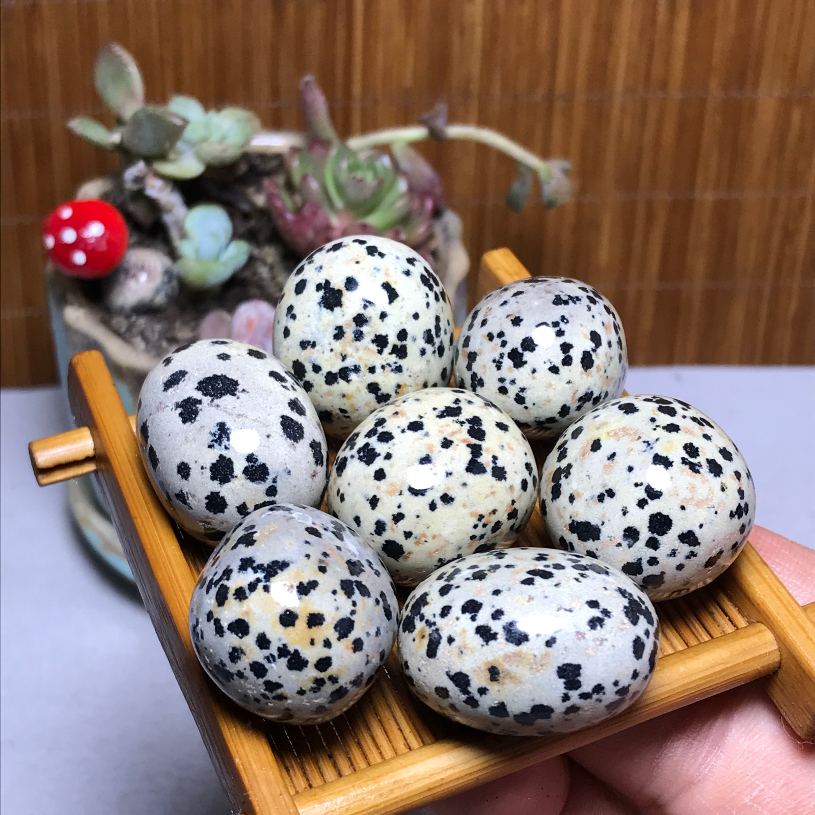 25-22-22mm 7Pcs Natural spotted stone Crystal gemstone Mineral Specimen A4408