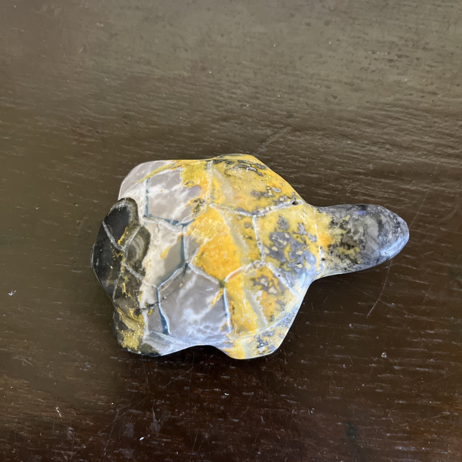 Authentic Bumble Bee Jasper Gemstone Turtle Carving Good Detail 3 Inch Yellow