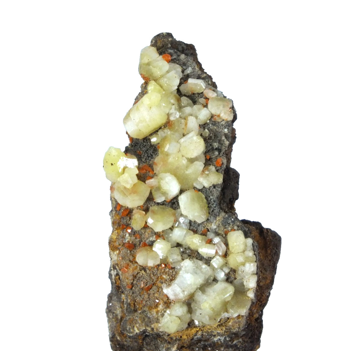 Chrome Cerussite Crystals. Magnet Mine Waratah Tasmania Australia (EA12108)