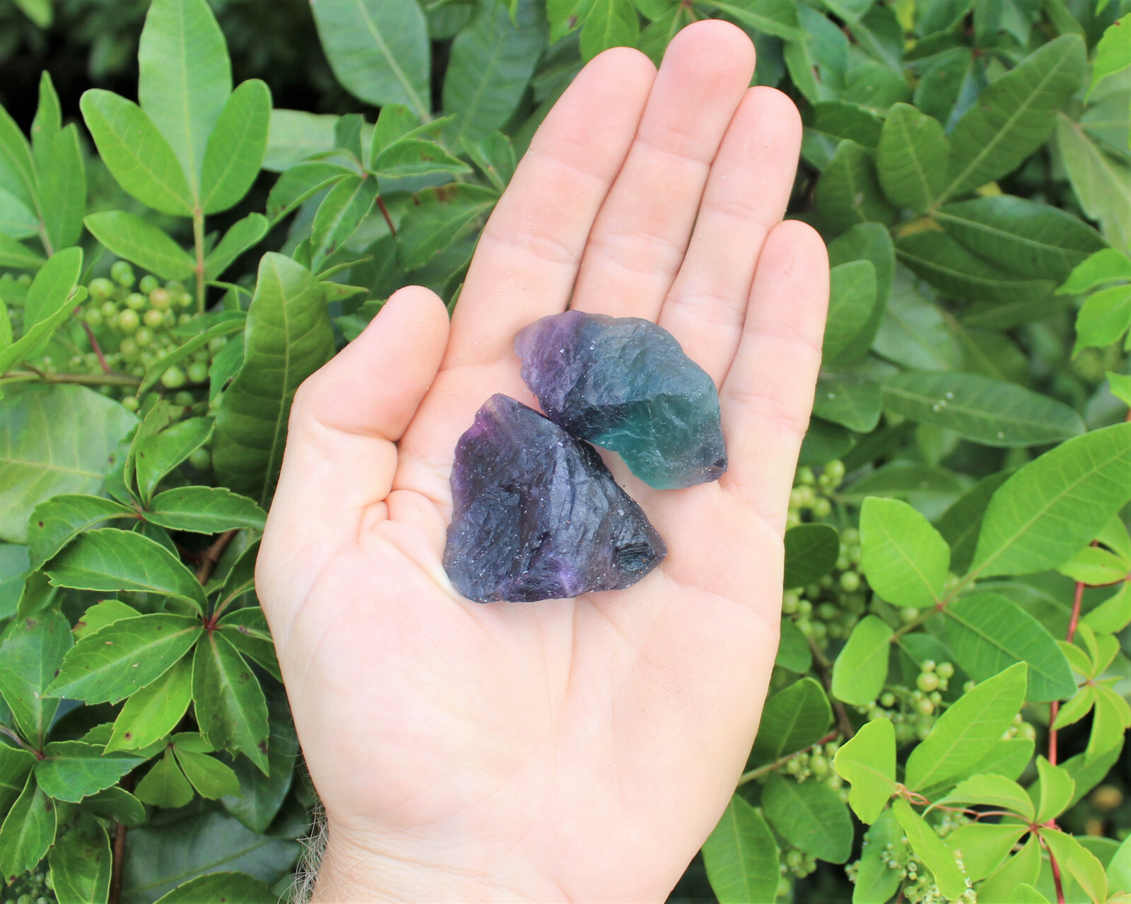 2 lb Bulk Lot Natural Rough Fluorite (Crystal Healing Raw Rock Mineral)