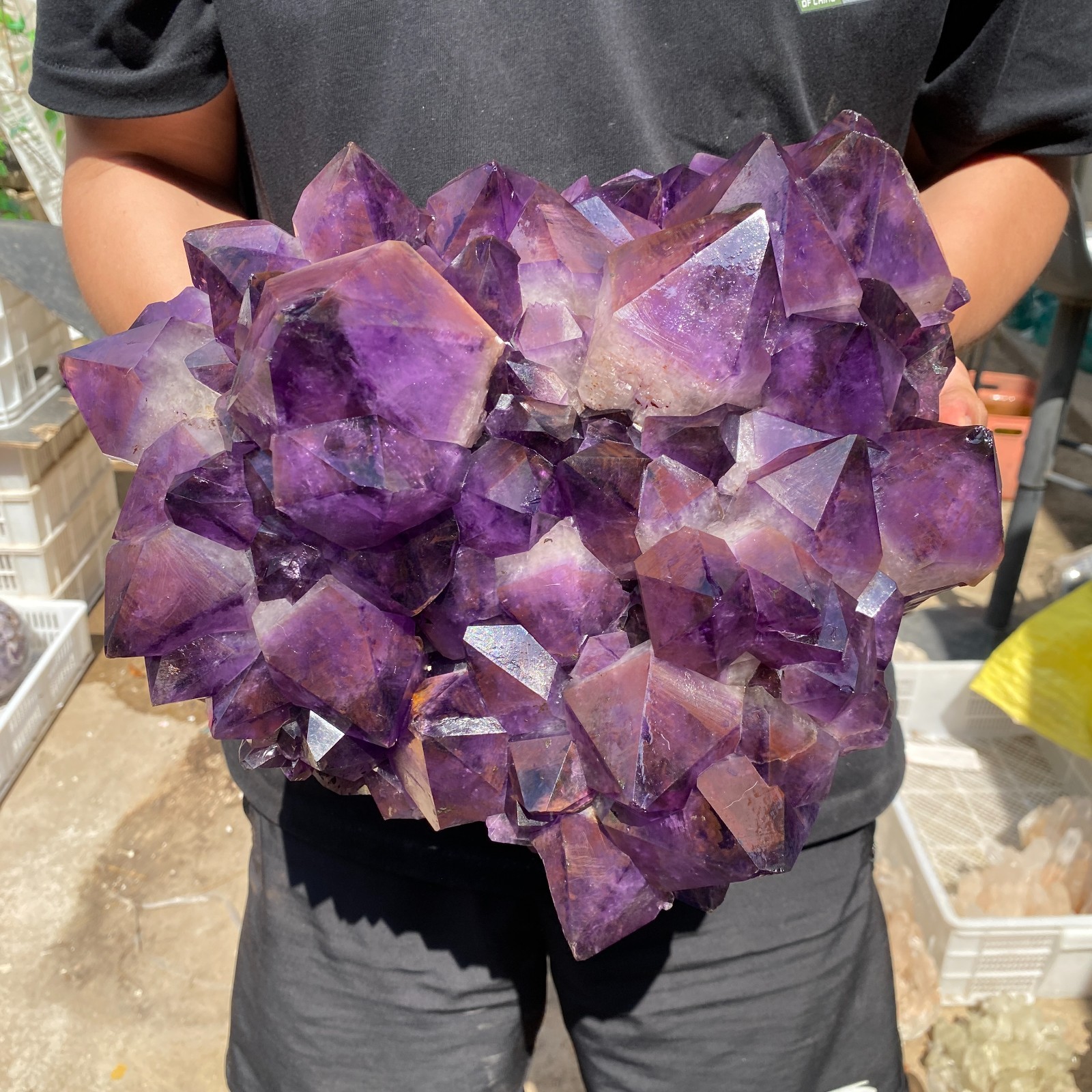 26.2lb Natural Amethyst geode quartz cluster crystal specimen Healing