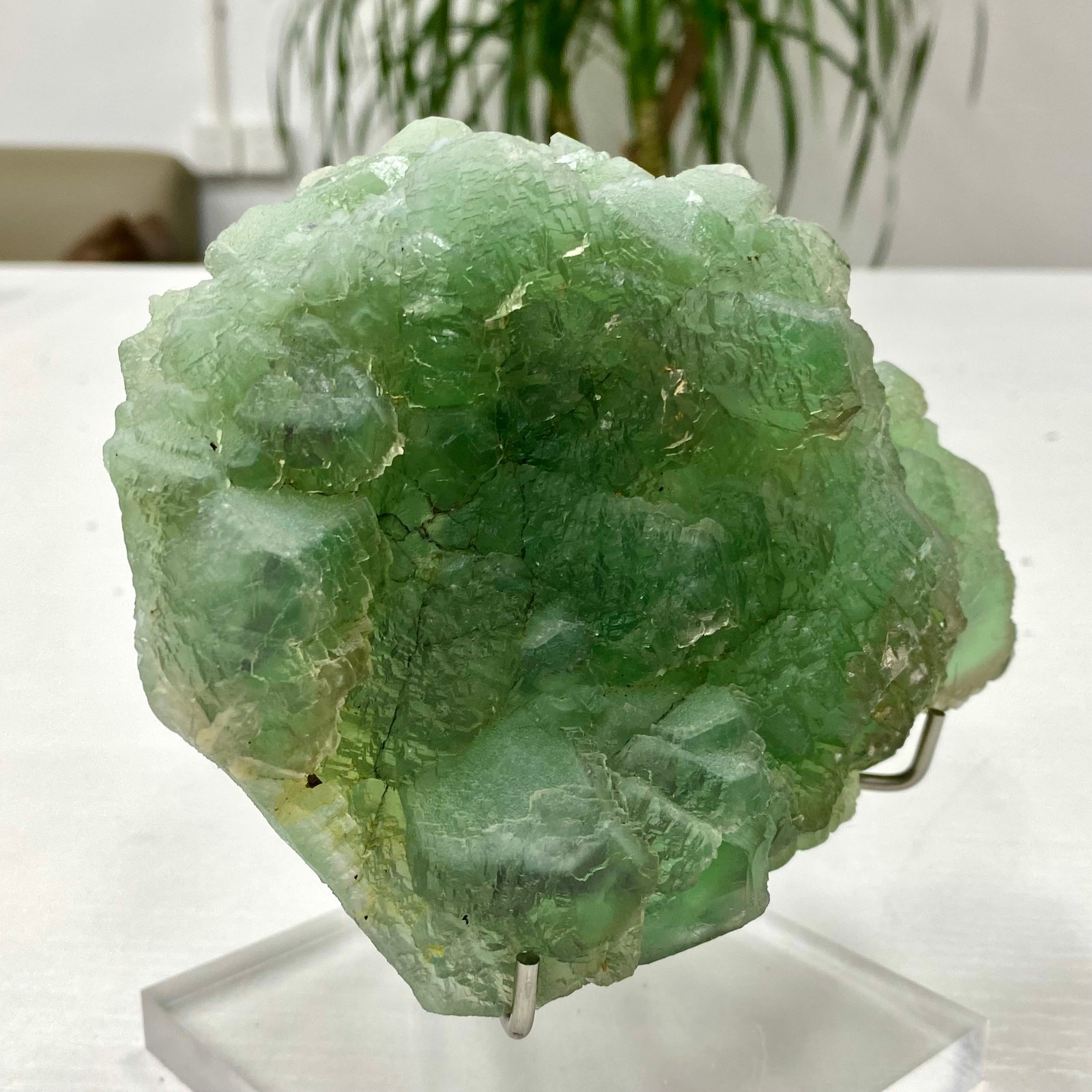 3.64LB Natural transparent green cubic fluorite mineral crystal sample/China