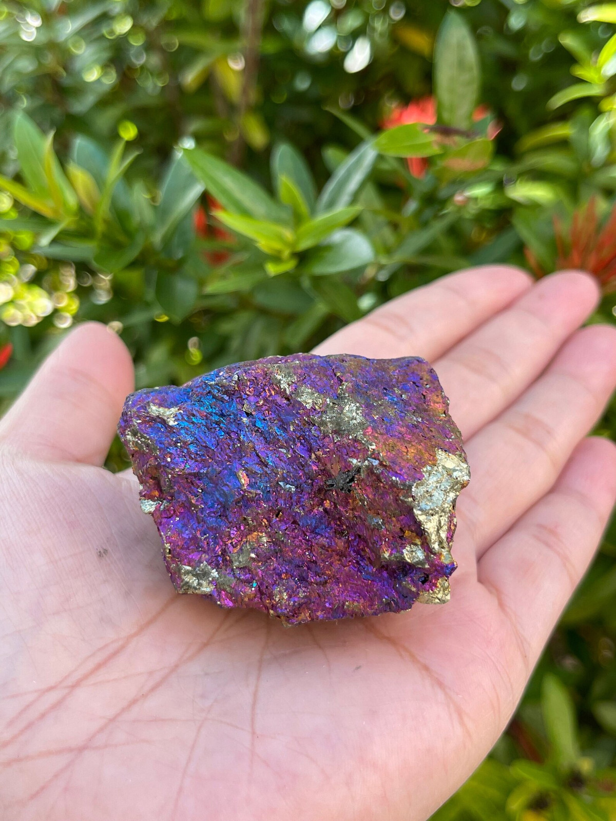 Grade A++ Chalcopyrite Natural Stone, Raw Peacock Ore Stone, Wholesale Bulk Lot