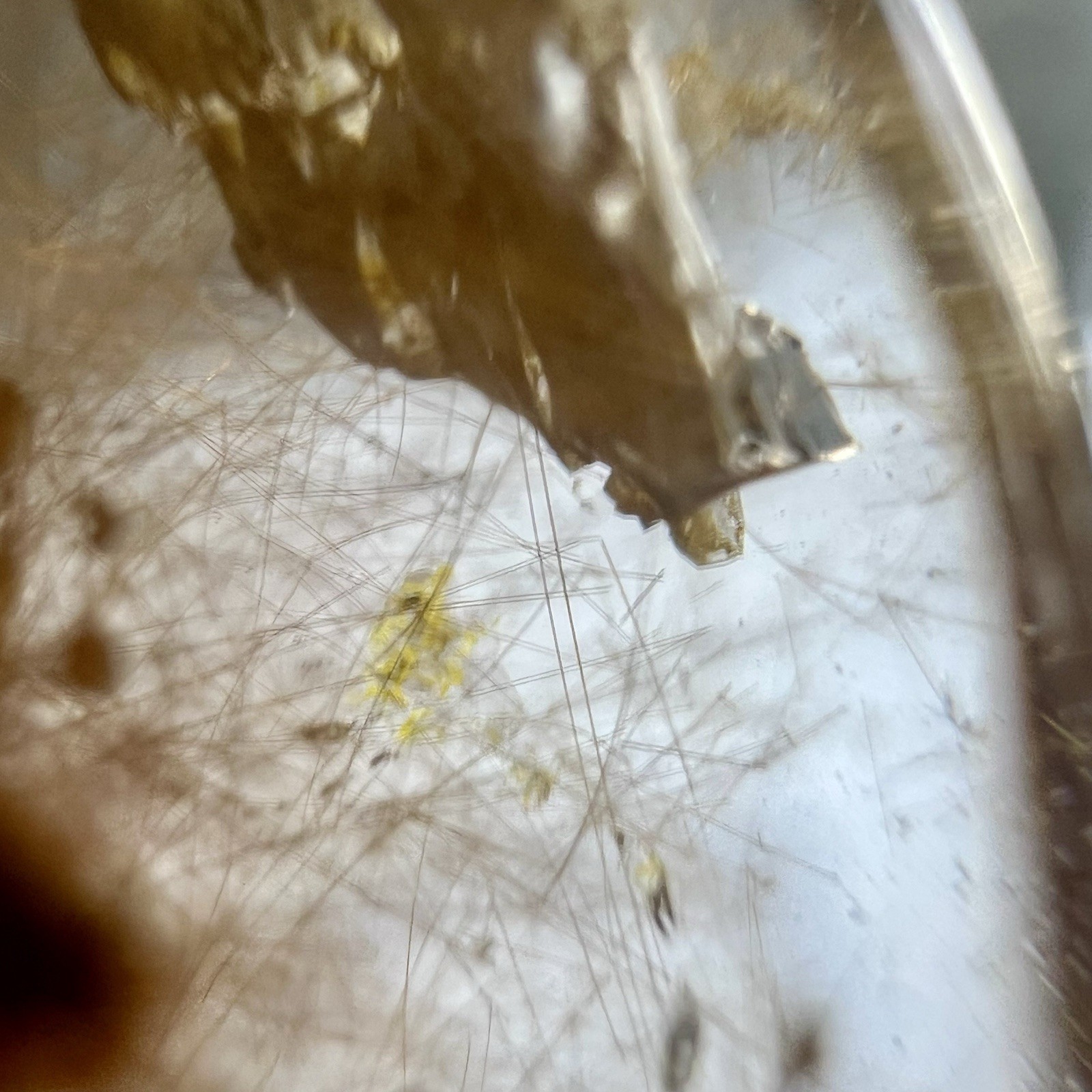 Golden Rutile Quartz With Moving Rutile Inclusion