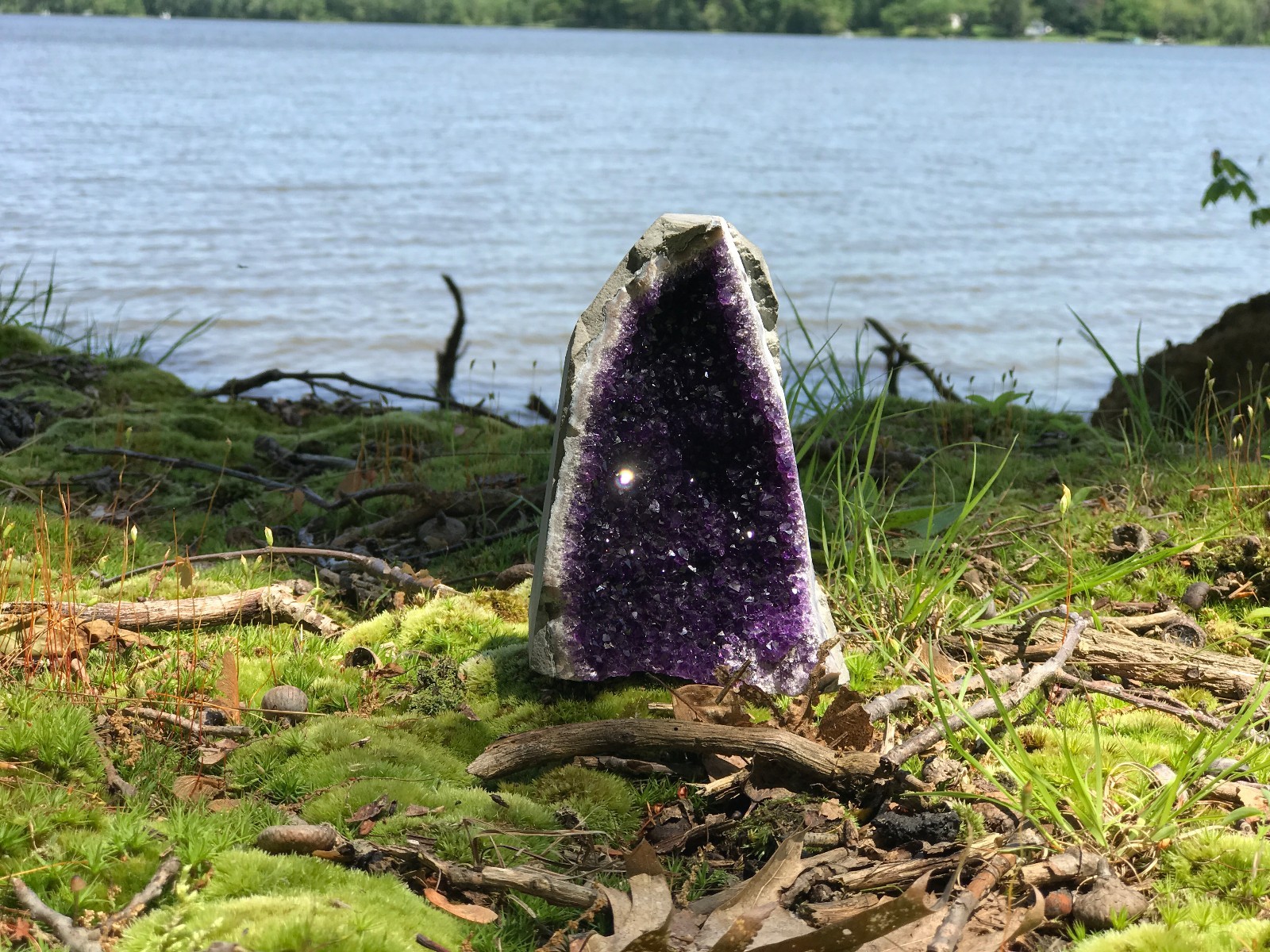 Amethyst Druze Crystal Cluster With Cut Base ~ EXTRA LARGE Size Specimen ~ 2 Lbs