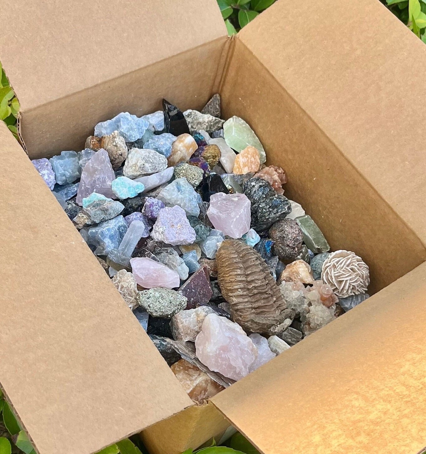 20 lbs Mixed Rough Crystals Bulk Lot A Grade Natural Assorted Stones