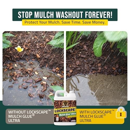 Ultra Concentrated Mulch Glue 64oz – Non-Toxic Landscape Binder for Mulch & Pine