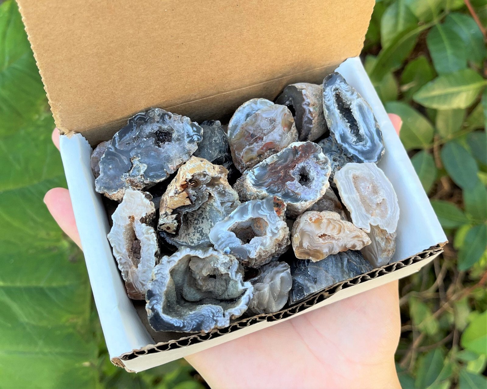 Oco Agate Geodes 1/2 lb Box Lot – ‘B’ Grade Natural Crystal Agate Druzy Halves
