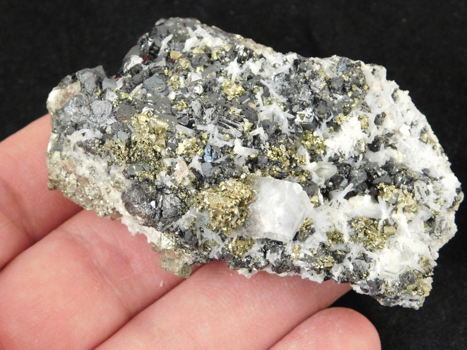 Sphalerite Crystal Cluster with Chalcopyrite Calcite and Pyrite 116gr