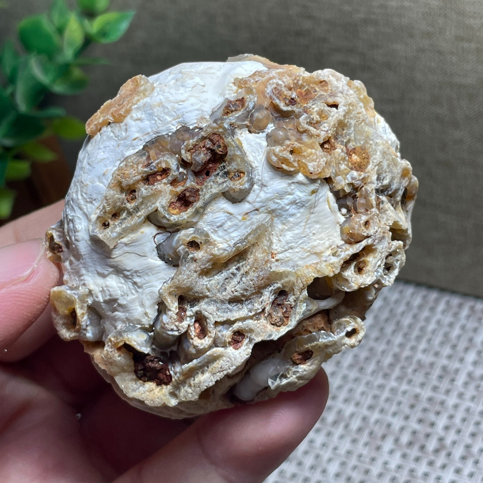 Beautiful ! GoBi agate eyes stone rough Crystal Stone Specimen Viewing 146g C55
