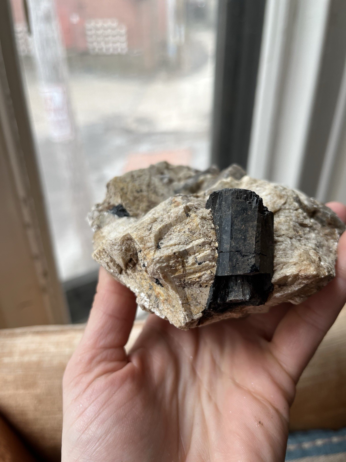 Huge Black Tourmaline Schorl Crystal In Matrix Maine Locality 6” Feldspar Quartz