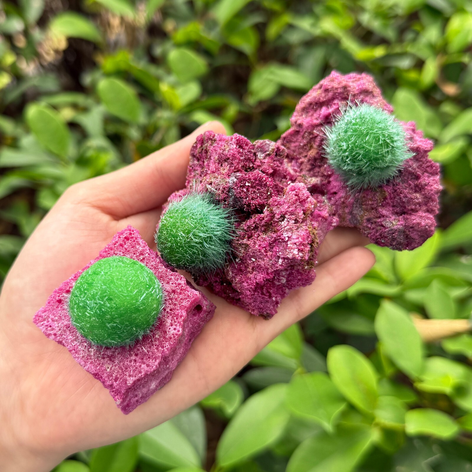 Rare Dandelion Zeolite Cluster Quartz Geode Specimens Mineral Crystal Decor